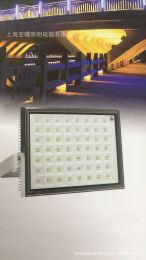 Shanghai YaLED floodlight 100W luminaire ZY338-LED100A220-5700K90D